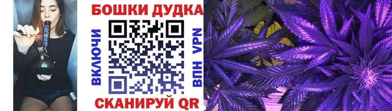 Конопля ГИДРОПОН  Ленинск 